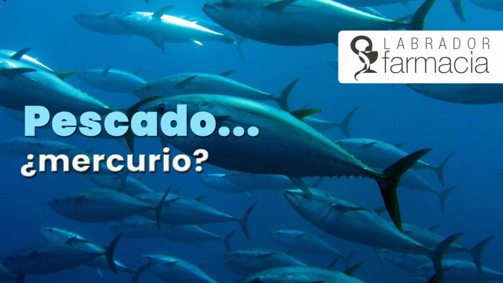 Pescado y Mercurio