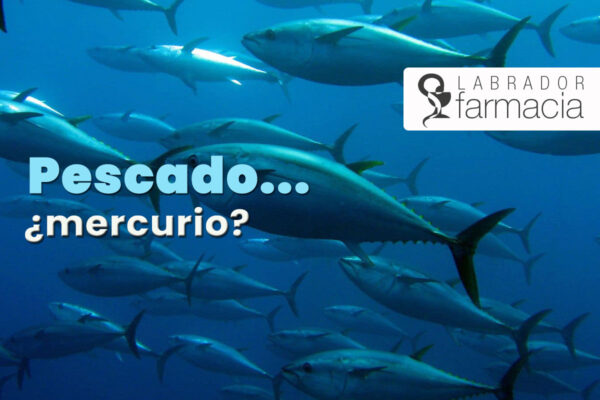 Mercurio y Pescado